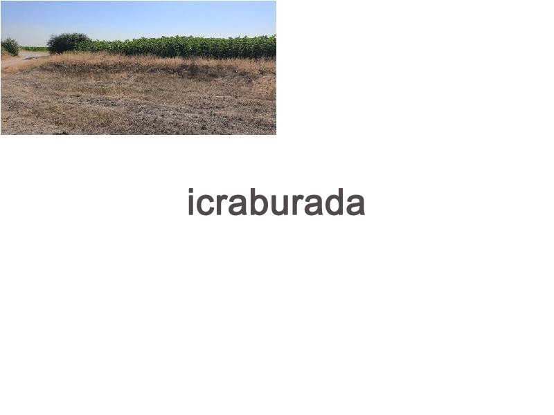 icralık  m2 Tarla Konya Ereğli Servili