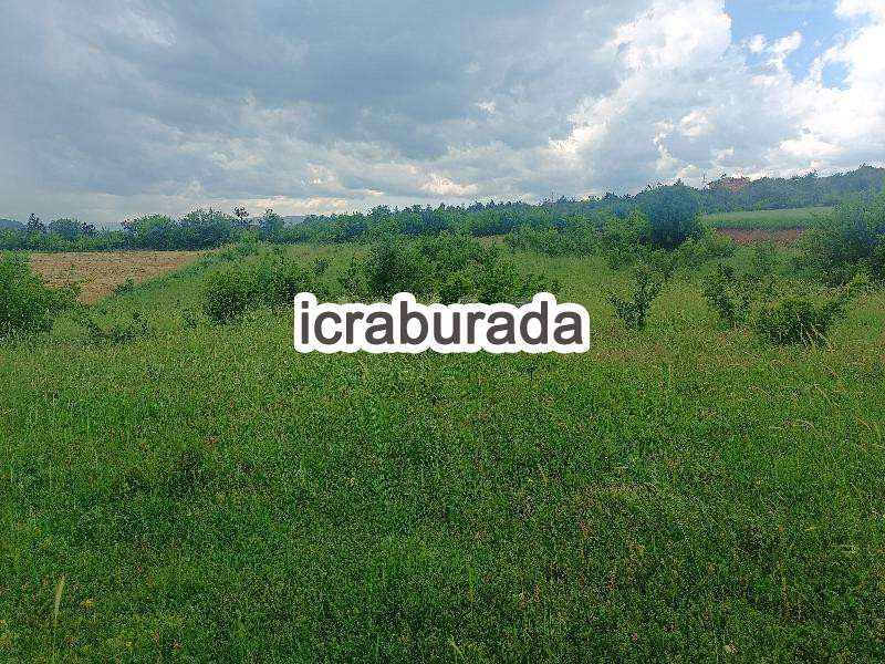 icralık  m2 Tarla Kastamonu Araç Kiyan