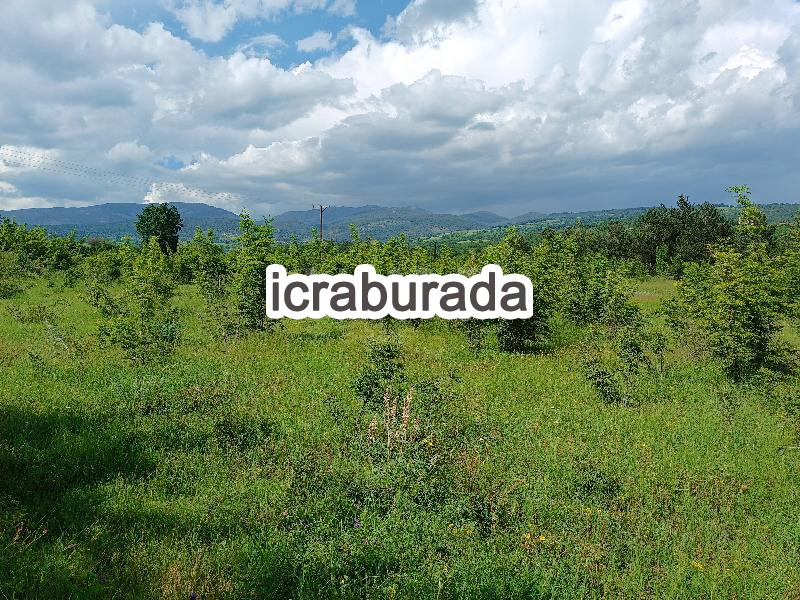 icralık  m2 Tarla Kastamonu Araç Kiyan
