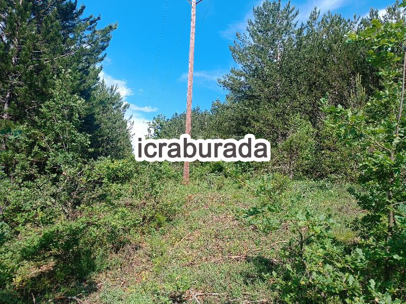 icralık  m2 Tarla Kastamonu Araç Kiyan