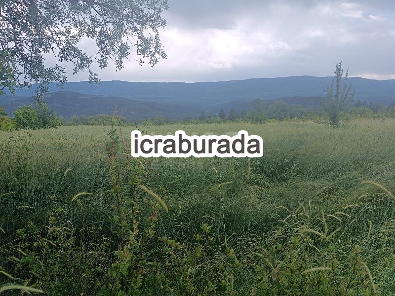 icralık  m2 Tarla Kastamonu Araç Kiyan