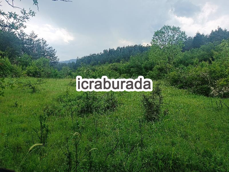 icralık  m2 Tarla Kastamonu Araç Kiyan