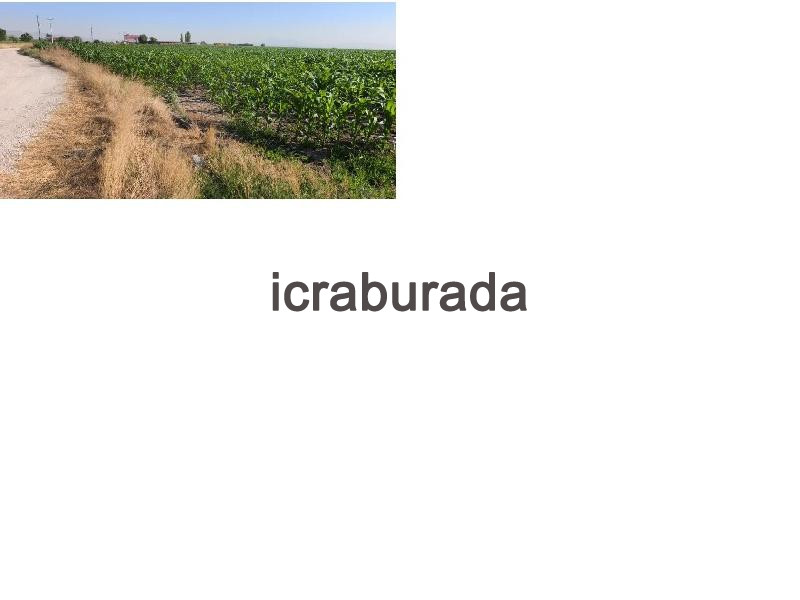 icralık  m2 Tarla Konya Ereğli Servili