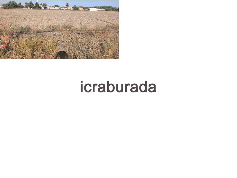 icralık  m2 Tarla Konya Ereğli Servili