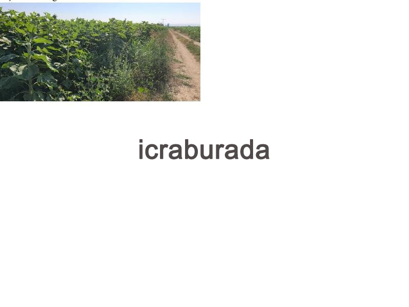 icralık  m2 Tarla Konya Ereğli Servili