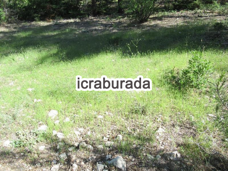 icralık  m2 Tarla Karaman Ermenek Tepebaşi