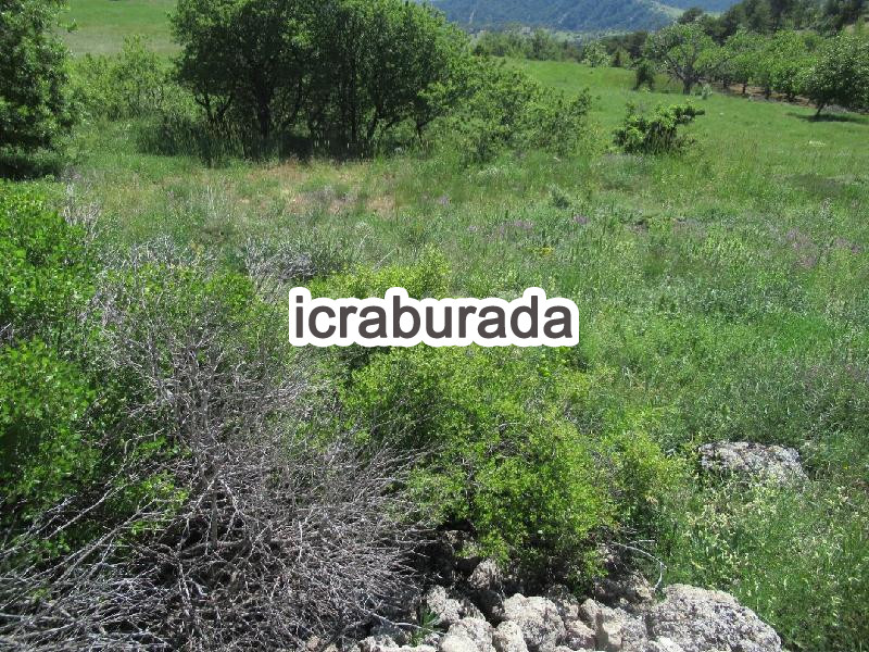 icralık  m2 Tarla Karaman Ermenek Tepebaşi