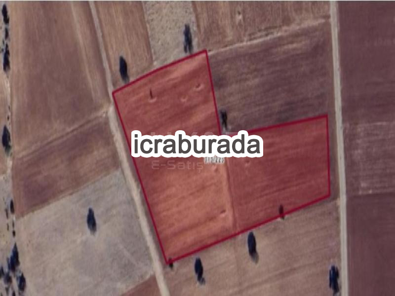 icralık  m2 Tarla Konya Akören Hacilar