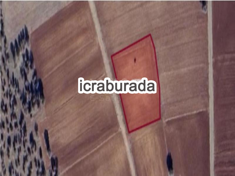 icralık  m2 Tarla Konya Akören Hacilar