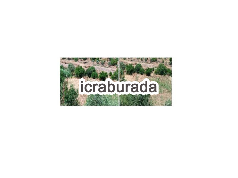icralık  m2 Tarla Aydın Nazilli Haydarli