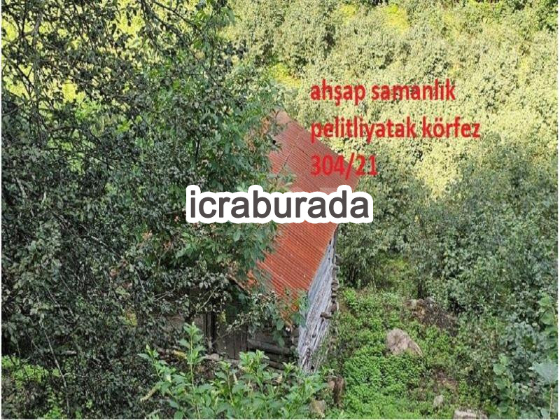 icralık  m2 Tarla Ordu Ünye Pelitliyatak/körfez