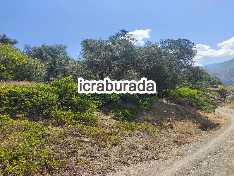 icralık  m2 Diger Artvin Yusufeli Tarakçilar