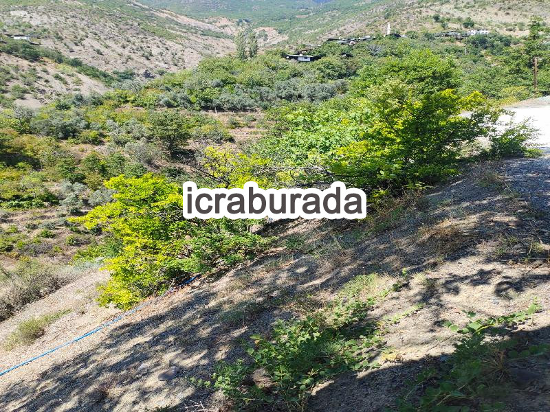 icralık  m2 Diger Artvin Yusufeli Tarakçilar