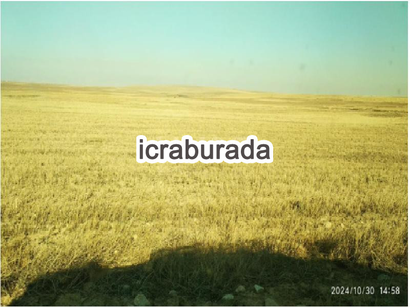 icralık  m2 Tarla Afyonkarahisar Emirdağ Bademli/zafer