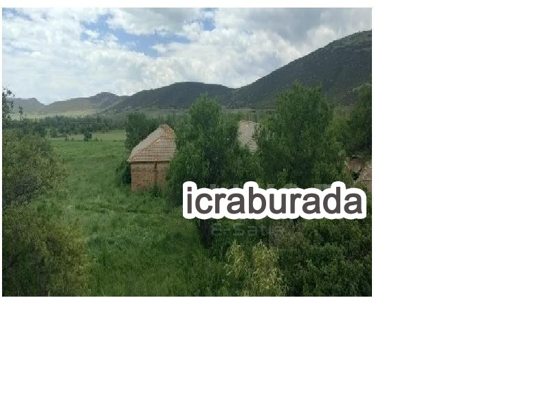 icralık  m2 Tarla Isparta Şarkikaraağaç Fele
