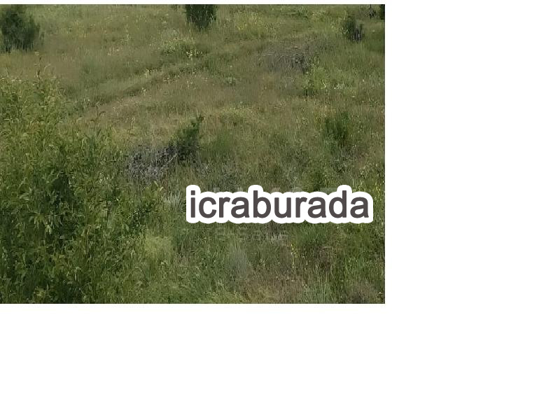 icralık  m2 Tarla Isparta Şarkikaraağaç Fele