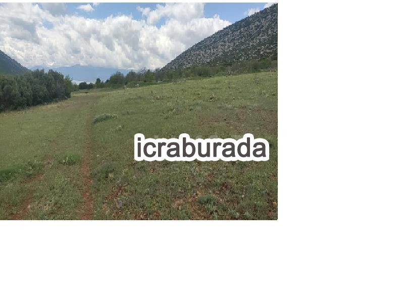 icralık  m2 Tarla Isparta Şarkikaraağaç Fele