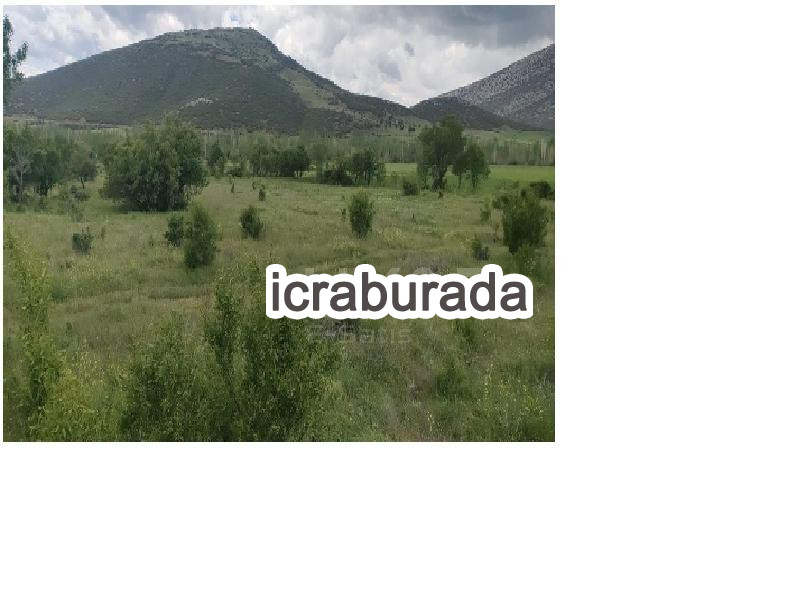 icralık  m2 Tarla Isparta Şarkikaraağaç Fele