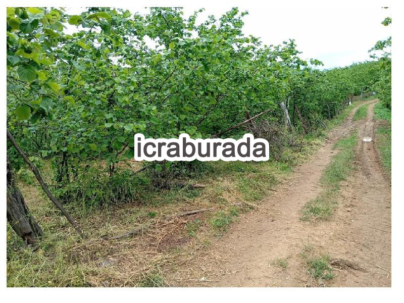 icralık  m2 Bag Sakarya Karasu Yenidoğan