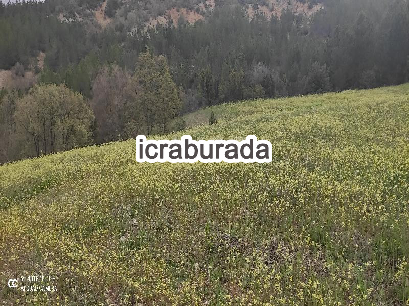 icralık  m2 Tarla Bilecik Bozüyük Çarşi
