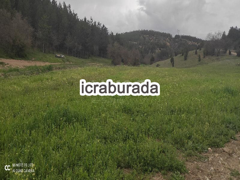 icralık  m2 Tarla Bilecik Bozüyük Çarşi