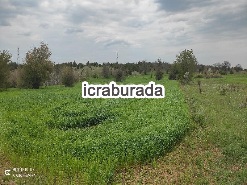 icralık  m2 Tarla Bilecik Bozüyük Kapanalan