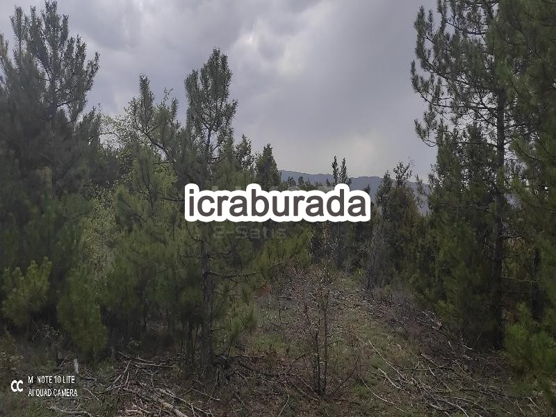 icralık  m2 Tarla Bilecik Bozüyük Kizilcapinar