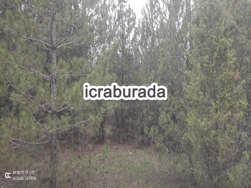 icralık  m2 Tarla Bilecik Bozüyük Kizilcapinar