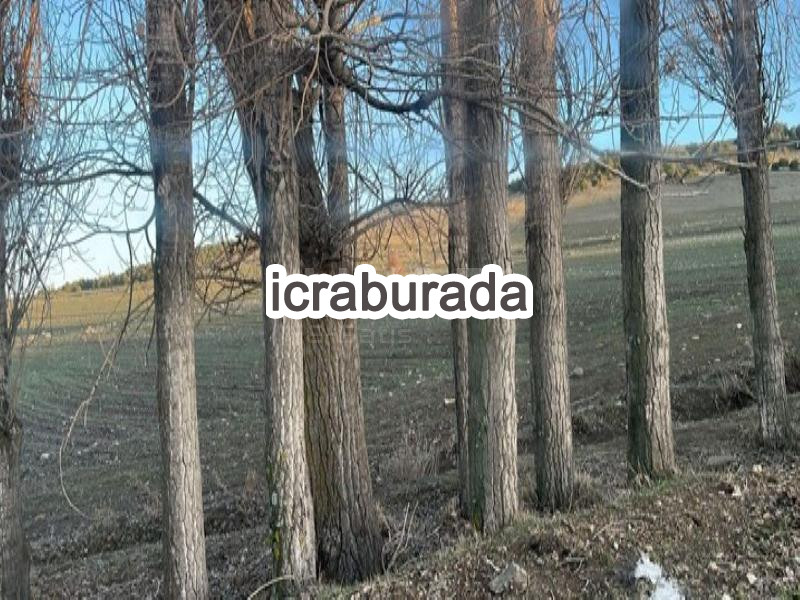 icralık  m2 Tarla Yozgat Sorgun Yazlak