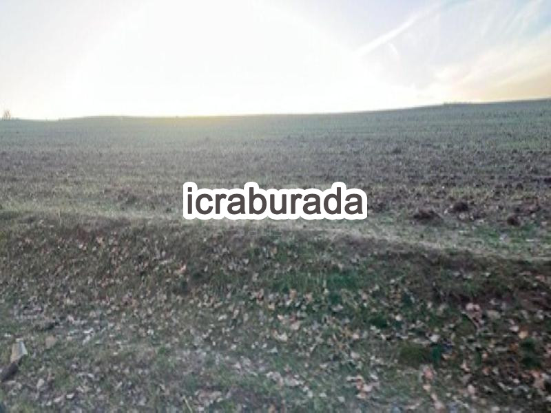 icralık  m2 Tarla Yozgat Sorgun Yazlak
