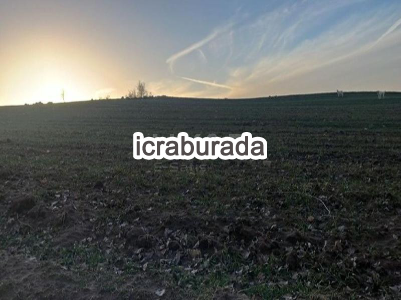 icralık  m2 Tarla Yozgat Sorgun Yazlak