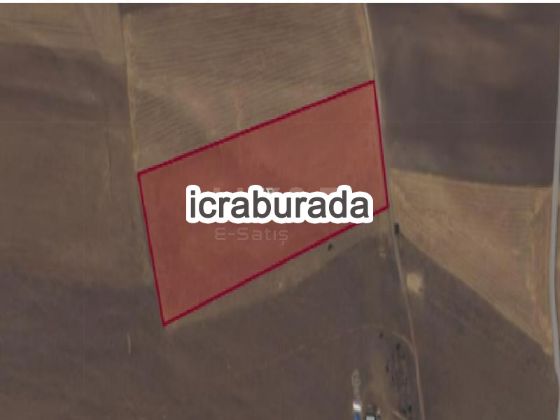 icralık  m2 Tarla Kayseri Pınarbaşı Kavak