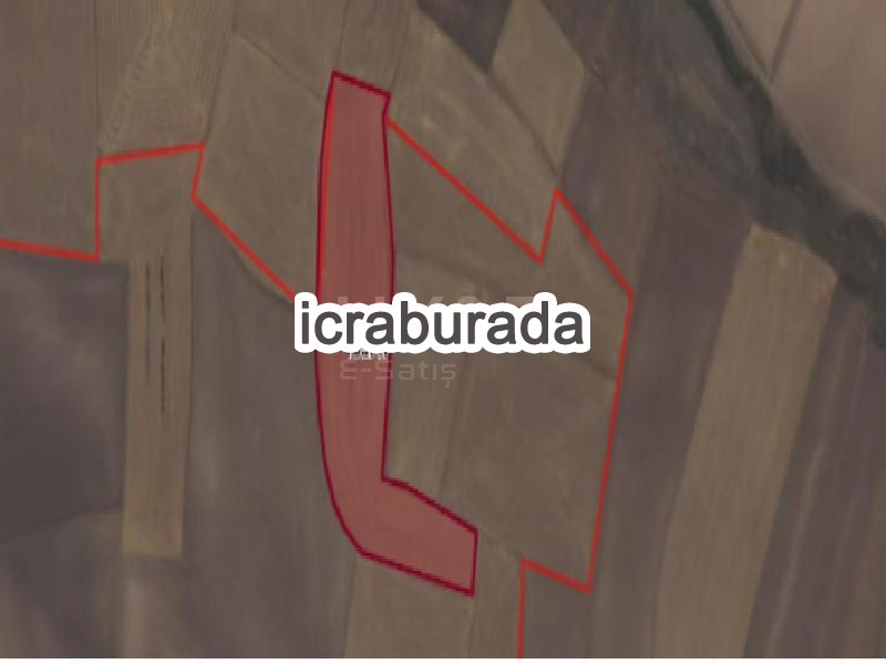 icralık  m2 Tarla Kayseri Pınarbaşı Kavak