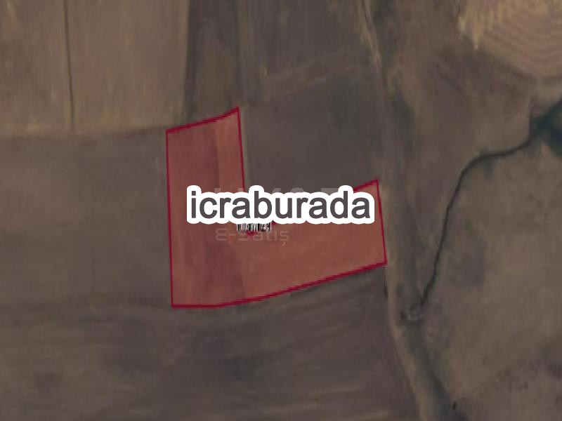 icralık  m2 Tarla Kayseri Pınarbaşı Kavak