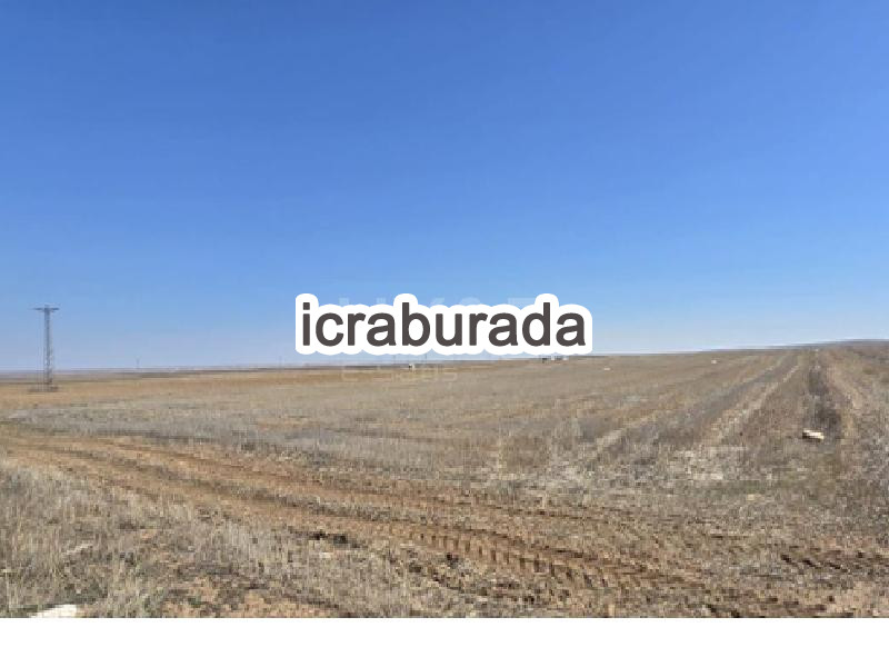 icralık  m2 Tarla Belirtilmedi Belirtilmedi Belirtilmedi