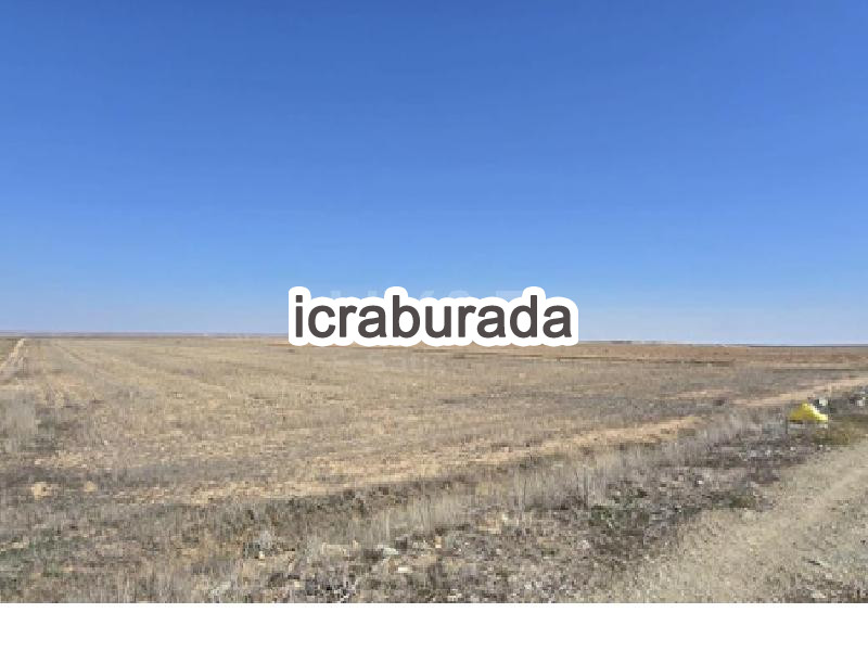 icralık  m2 Tarla Belirtilmedi Belirtilmedi Belirtilmedi