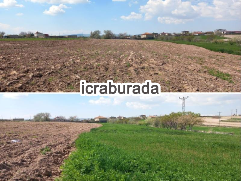 icralık  m2 Tarla Nevşehir Gülşehir Gülpinar