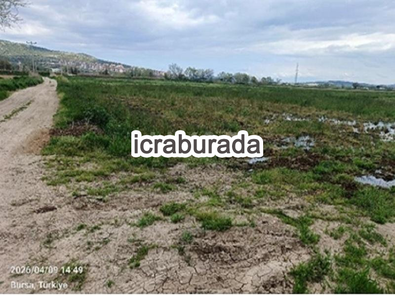 icralık  m2 Tarla Bursa Karacabey Mamuriyet