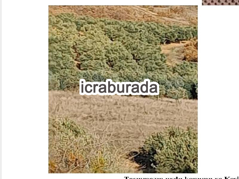 icralık  m2 Tarla Manisa Gölmarmara Ayanlar