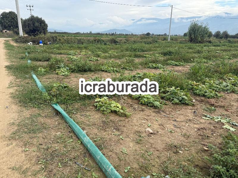 icralık  m2 Tarla İzmir Ödemiş Kaymakçi