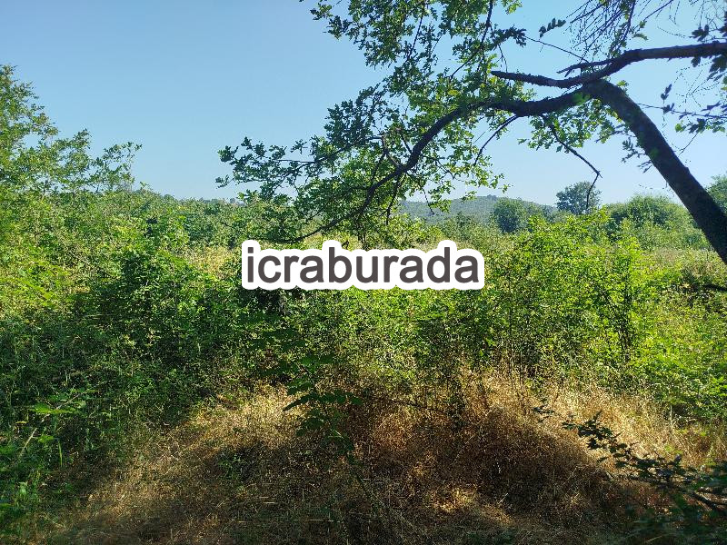 icralık  m2 Tarla Sakarya Hendek Kocaahmetler