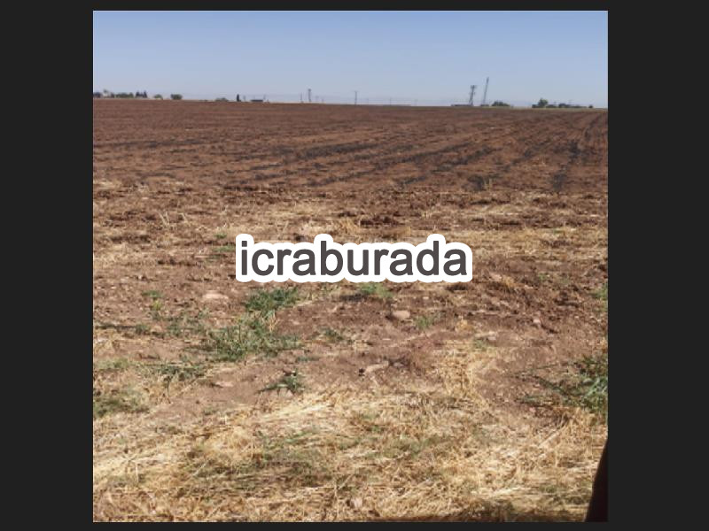 icralık  m2 Tarla Mardin Kızıltepe İnandi