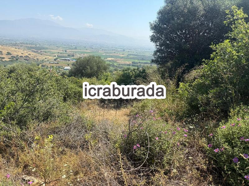 icralık  m2 Tarla İzmir Ödemiş Bozcayaka