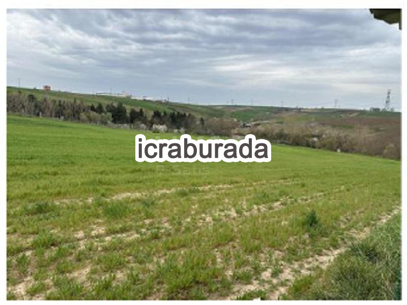 icralık  m2 Tarla Tekirdağ Çorlu Şahpaz