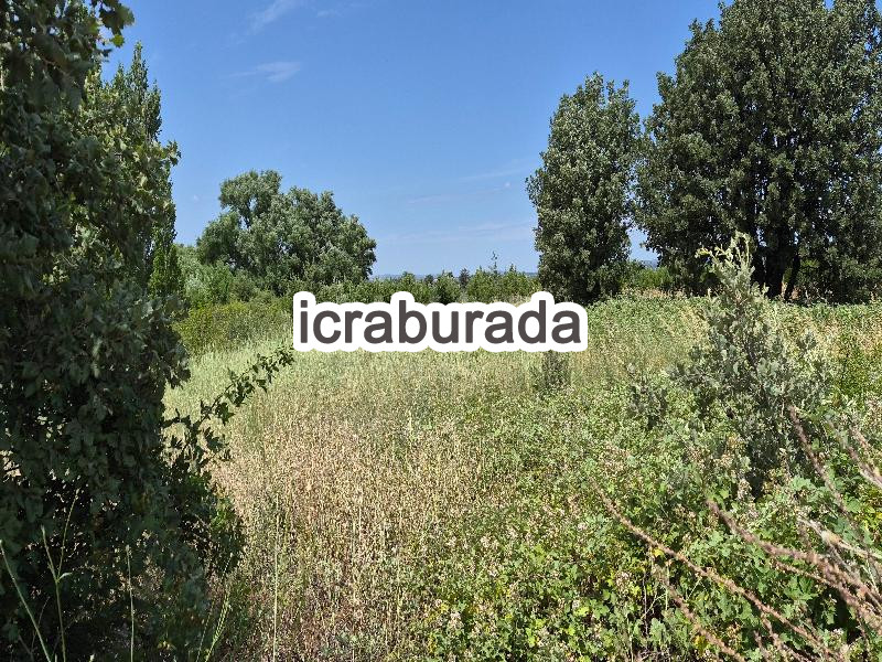 icralık  m2 Tarla Çanakkale Bayramiç Pinarbaşi