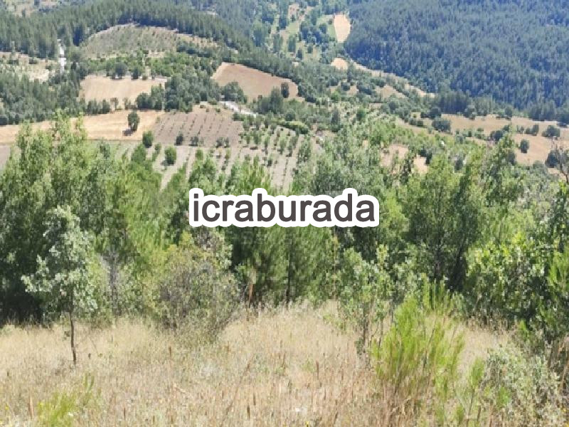 icralık  m2 Tarla Bursa Orhaneli Fadil