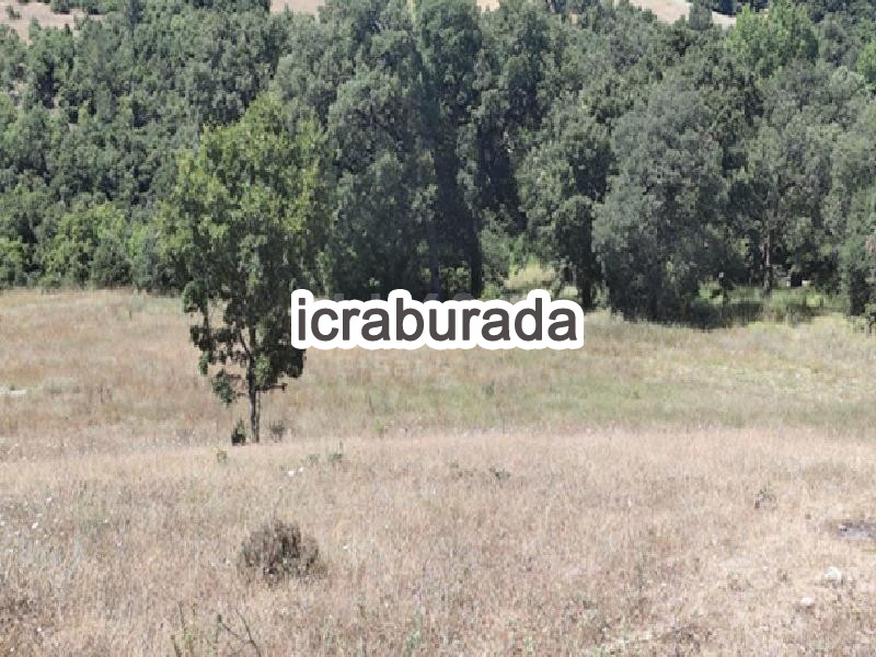icralık  m2 Tarla Bursa Orhaneli Fadil