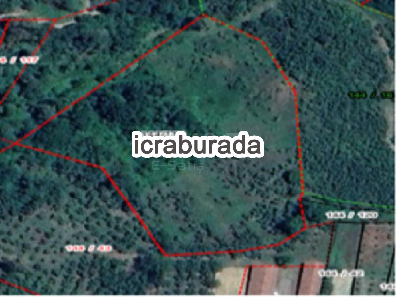 icralık  m2 Tarla Sakarya Karapürçek Mecidiye