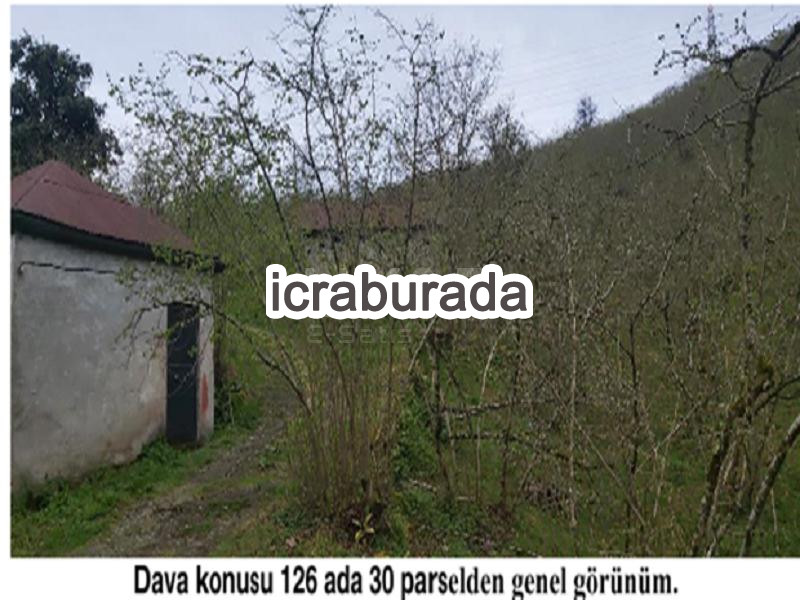 icralık  m2 Diger Giresun Tirebolu Özlü