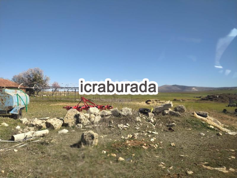 icralık  m2 Tarla Uşak Ulubey Hasköy